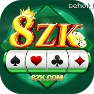 Ikon 8zk